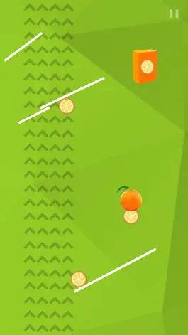 Game screenshot Orange to Juice Puzzle hack