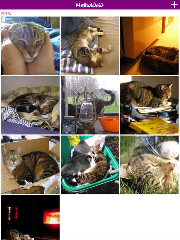 Screenshot #4 pour MeowWow