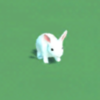 Peter Rabbit Immersive Book