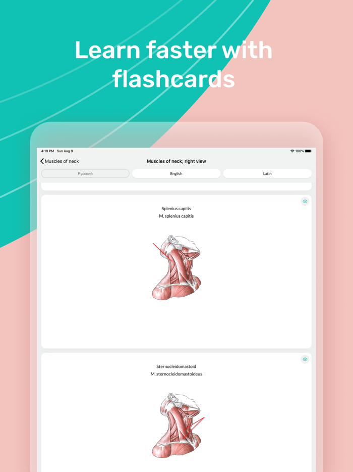 Easy Anatomy. Atlas learning