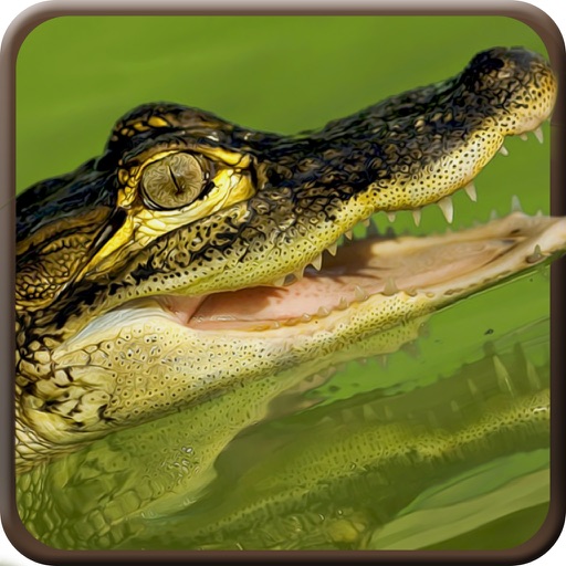 American Alligator Black Water Attack Shoot Icon