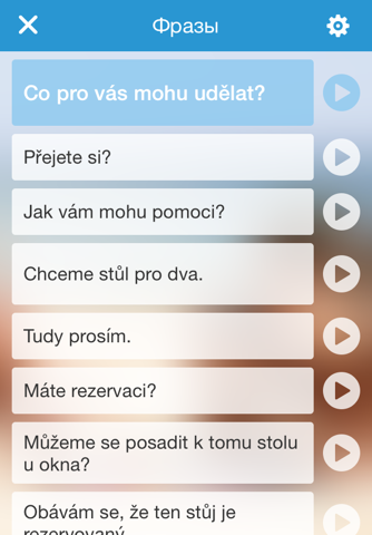 Чешский разговорник аудио screenshot 4