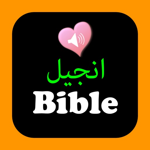 Urdu English Audio Holy Bible icon
