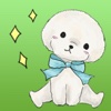 Adorable Bichon Frise Dog Stickers