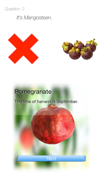 Fruits Quiz Touch :: simple trivia game