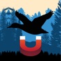 Mallard Magnet - Duck Calls app download