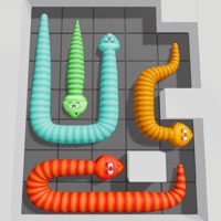 Snake Escape Puzzle