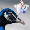 Peacock Photo Frame- Best Photo Frame,editor