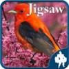 Birds Jigsaw Puzzles - Titan icon