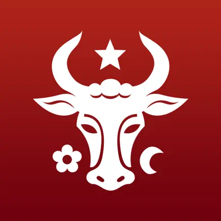 Moldovenii Читы