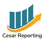 CESAR REPORTING App Problems