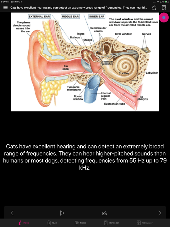 Human Anatomy Ears Facts, Quiz iPad screenshot