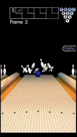 Game screenshot 300 Bowl LE hack