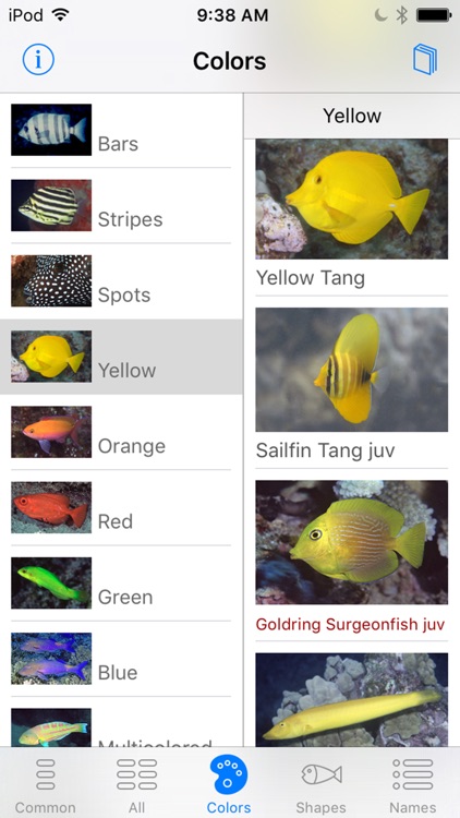Snorkel Fish Hawaii for iPhone screenshot-4