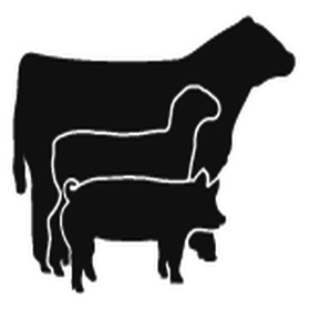 螢幕擷取畫面 (3) Livestock Judging Score Calc