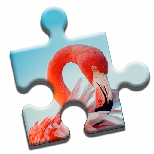 Aruba Sightseeing Puzzle