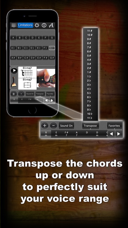 Balalaika Chords lite