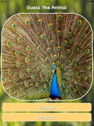 Animal Guessing Game screenshot 4