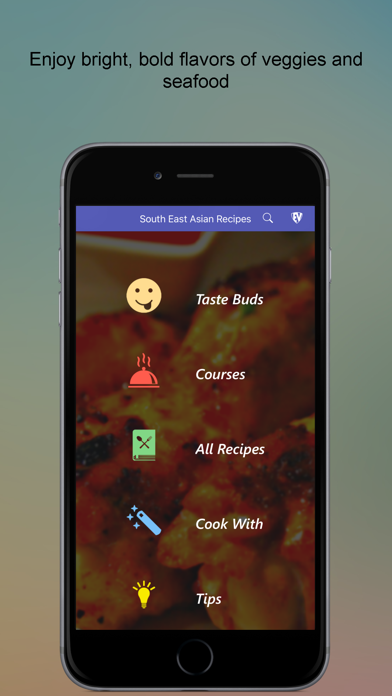 Screenshot #1 pour South East Asian Recipes