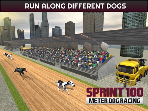 100 メートルの犬のレースのスプリント: 犬のレース トラックでのおすすめ画像3