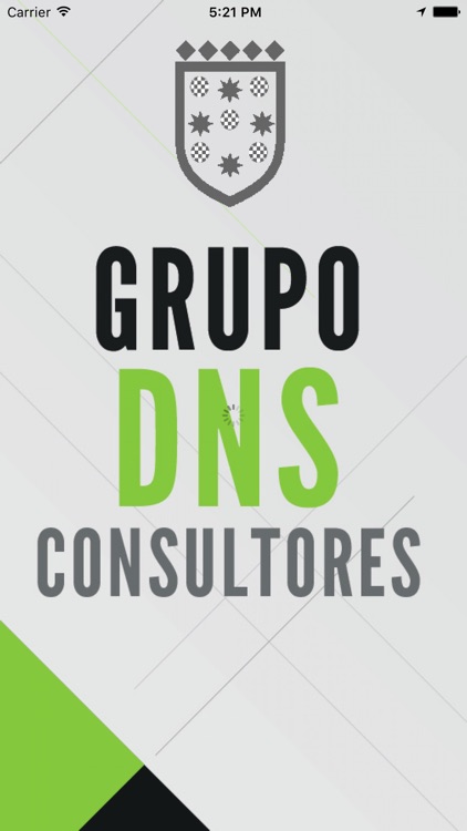 Grupo DNS