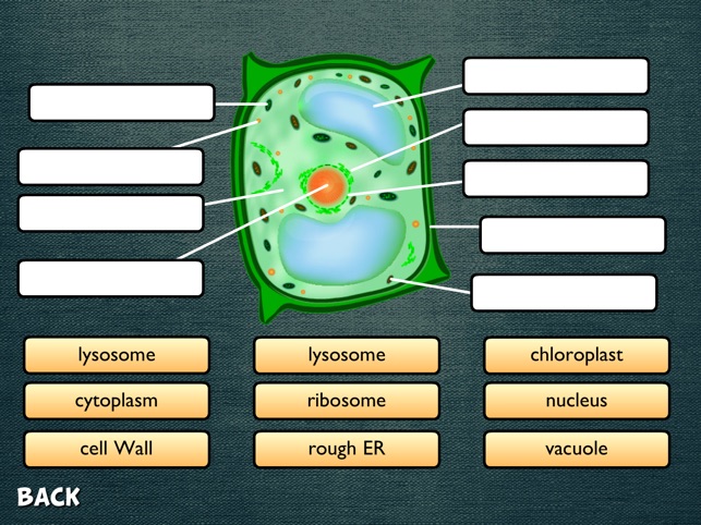 Science Diagrams(圖2)-速報App