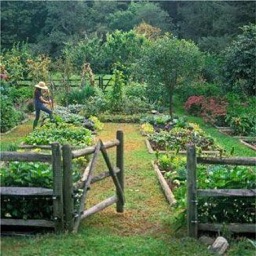 Amenagement Jardin - Paysage