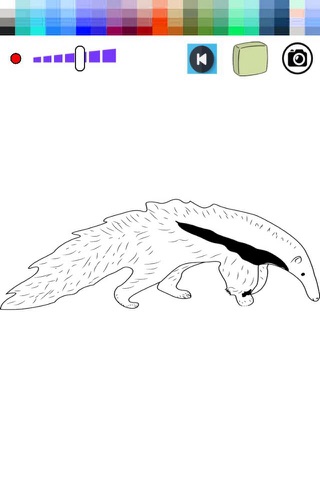 Paint Book Anteater For Kids screenshot 2
