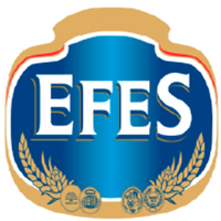 E-Partner SCS