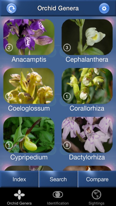 Screenshot #1 pour Orchid Id - British Orchids