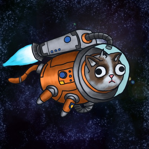 Rocket Cat Icon