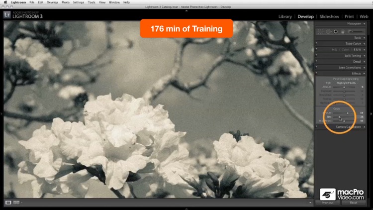 Course For Lightroom 101 screenshot-4