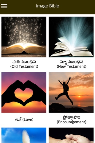 Telugu Holy Bible with Audio screenshot 4