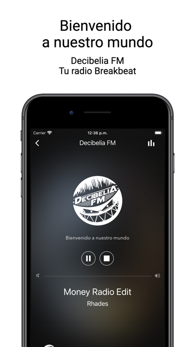 Decibelia FM Screenshot