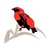 The River Club icon