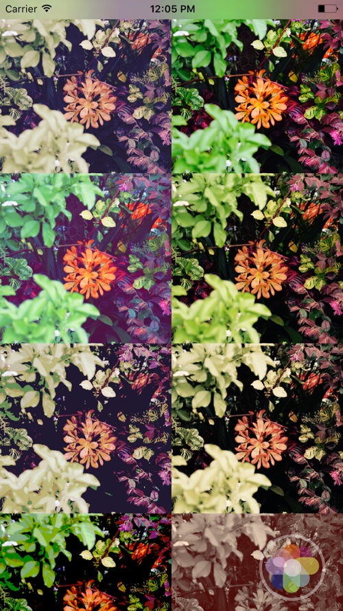 Vivid Snap Filters Free Download App for iPhone