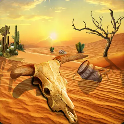 Can You Escape The Desert Cheats