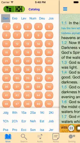 Game screenshot World English Bible Audio Book apk