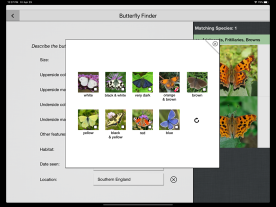 Butterfly Guide - Europe iPad app afbeelding 5