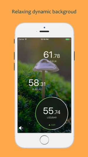Rubletation Rates - meditation on ruble rate(圖2)-速報App