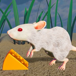 Jerry Mouse Rat Life Simulator
