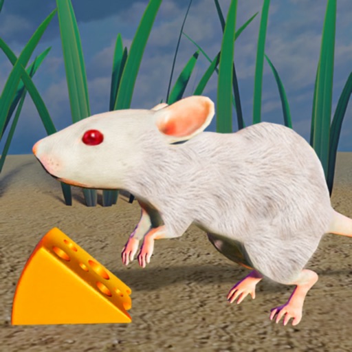 Forest wild Mouse Simulator