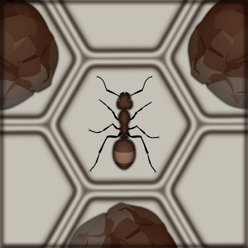 Catch The Ant iOS App