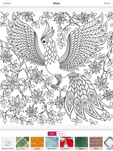 mandala coloring book shading activity skills