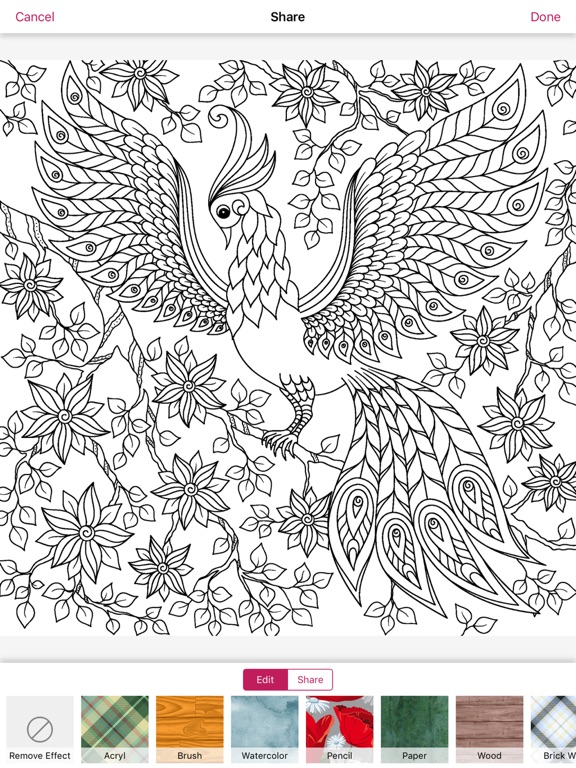 nature mandala coloring book art therapy for adult iPad screenshot