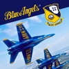 Icon Blue Angels: Aerobatic Flight Simulator