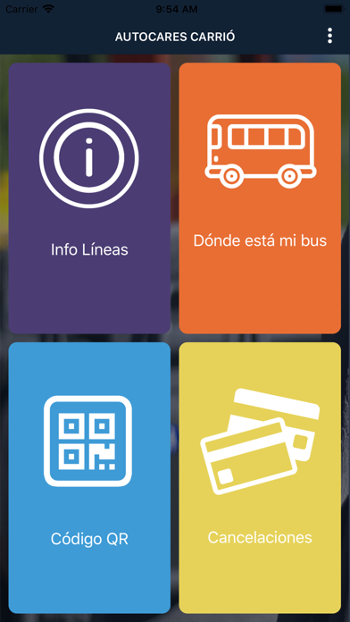 Carrió Pasajeros Screenshot