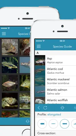 Game screenshot Fishes PRO - Field Guide apk