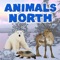 Animals North