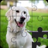 Jigsaw Puzzle Games: Jigsaw Hd icon